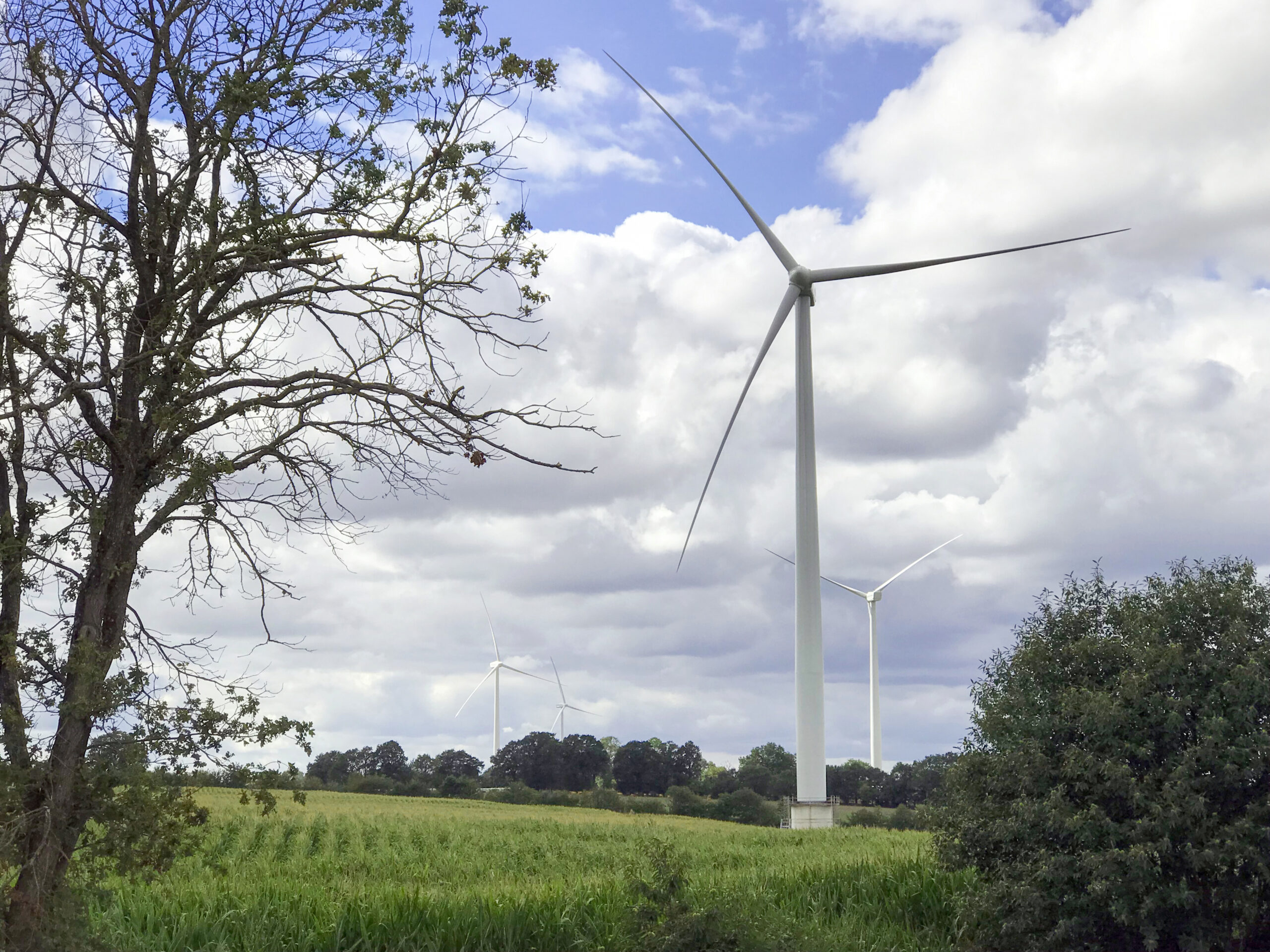 LE RENOUVELLEMENT D’UN PARC ÉOLIEN OU « REPOWERING »
